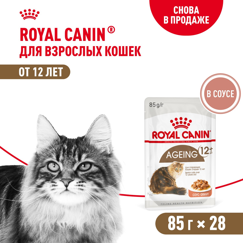Royal Canin Ageing 12+ Эйджинг Корм влажный для взрослых кошек в возрасте старше 12 лет соус 85г