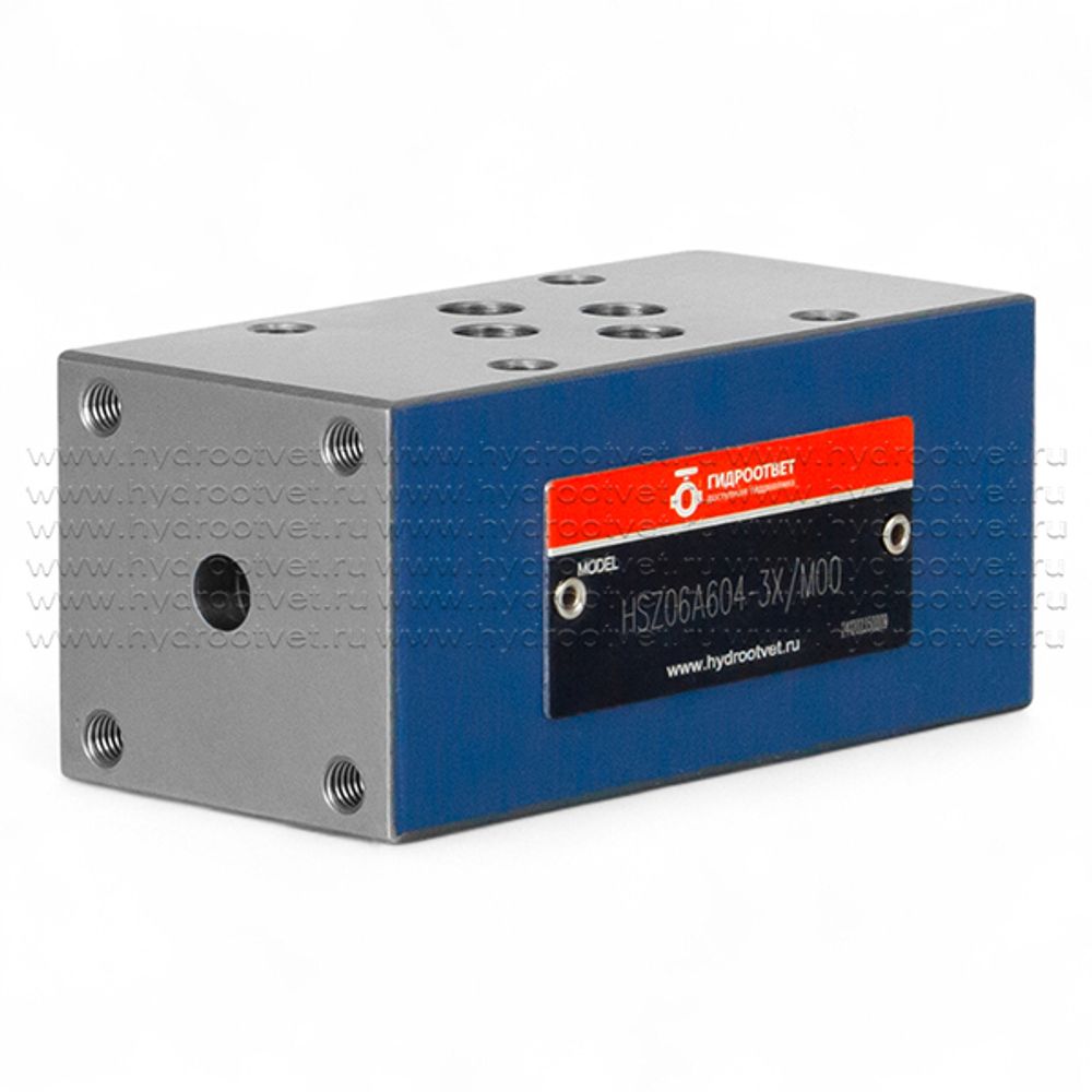 HSZ06A604