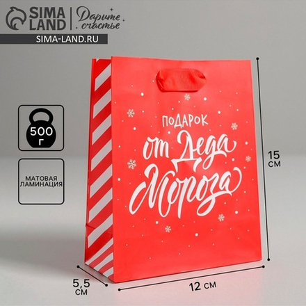 Пакет подарочный новогодний ламинированный «Подарок от Деда Мороза», S 12 х 15 х 5.5 см, 4843278