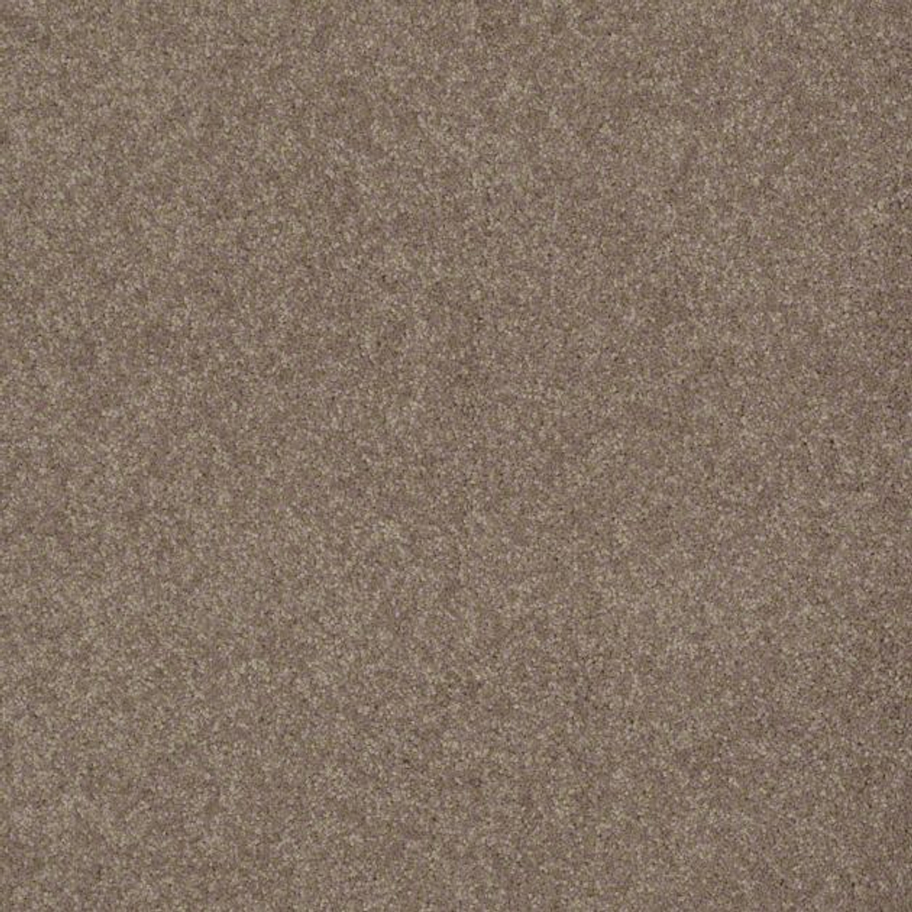 Ковровое покрытие Shaw Floors See the World III 116