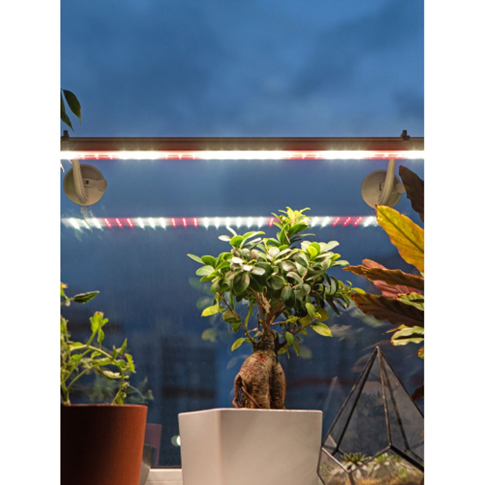 Светильник для растений фитолампа светодиодная линейная ЭРА FITO-18W-Ra90 полного спектра 18 Вт | Линейные фито светильники