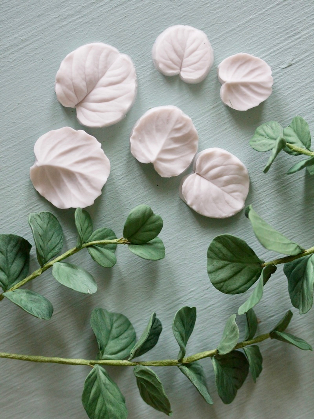 Набор вайнеров для лепки листьев эвкалипта Coprussia