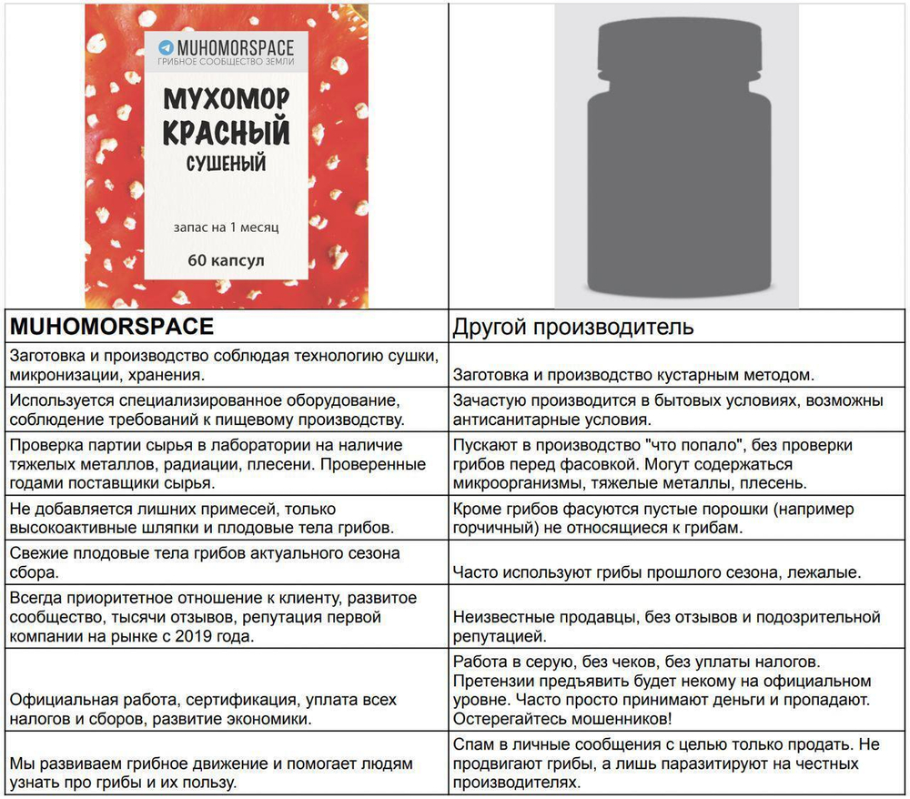 преимущества покупки ежовика гребенчатого в Мухоморспейс
