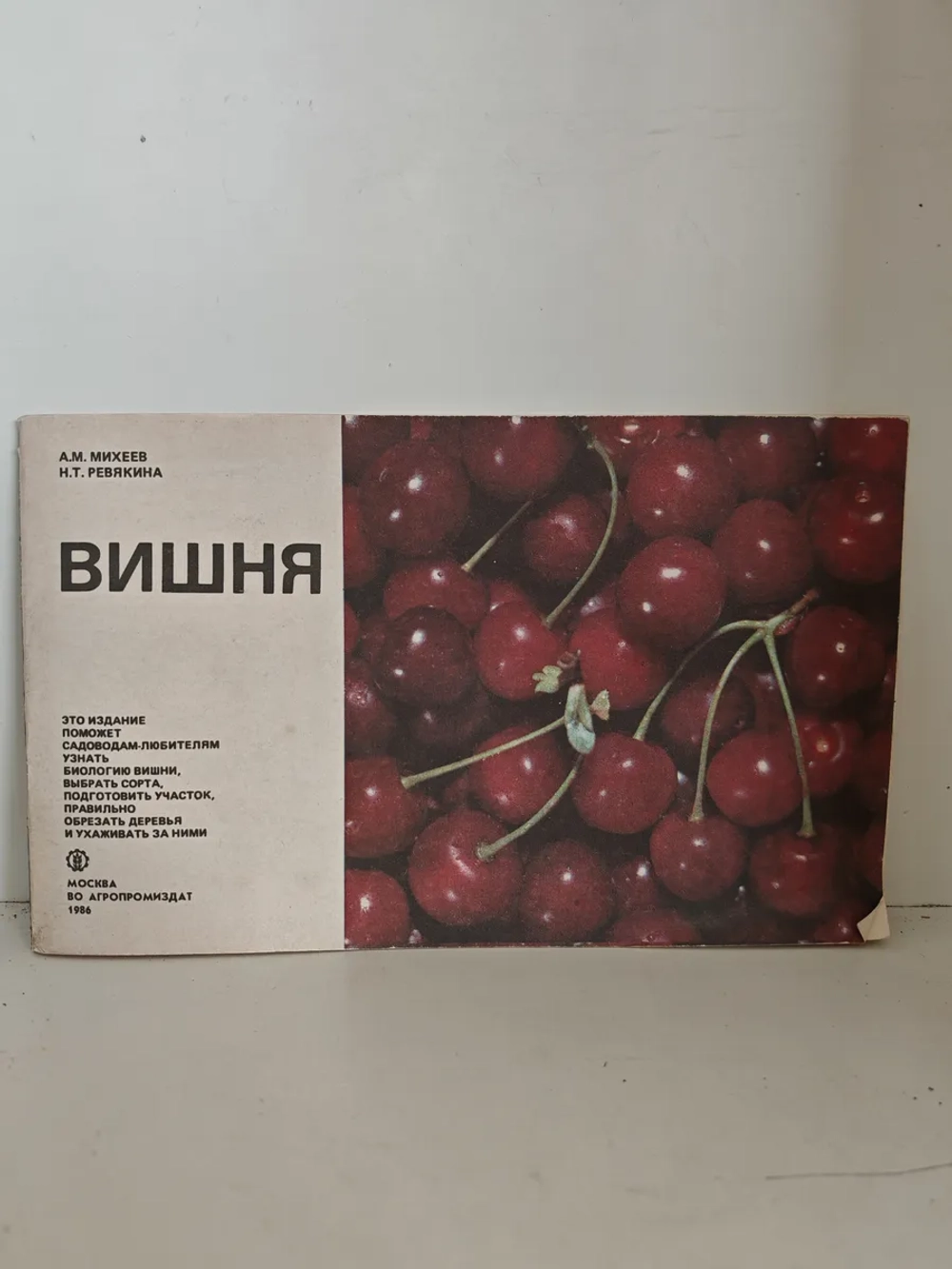 Вишня