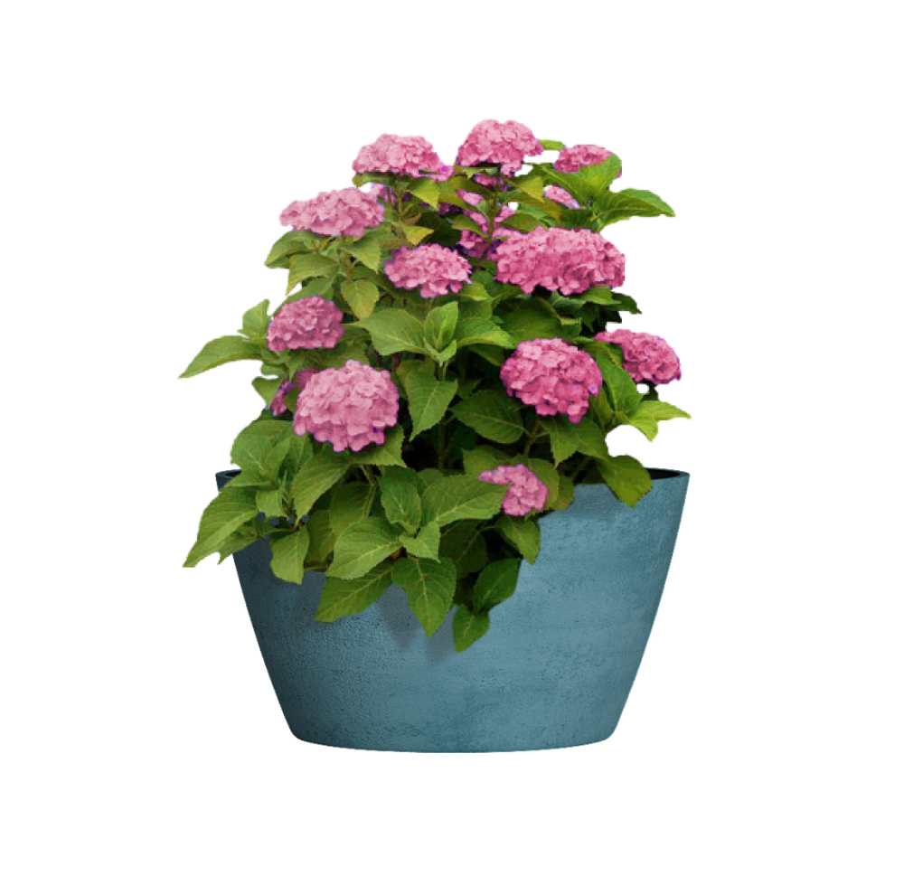 Кашпо, коллекция Color, форма BOWL