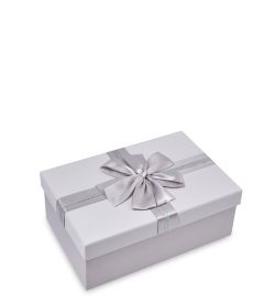 WF-188/1-A Коробка, белый/серый