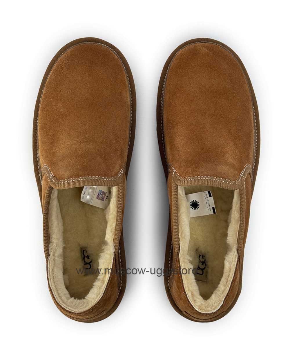 MEN'S HAYDEN Slip On - Chestnut