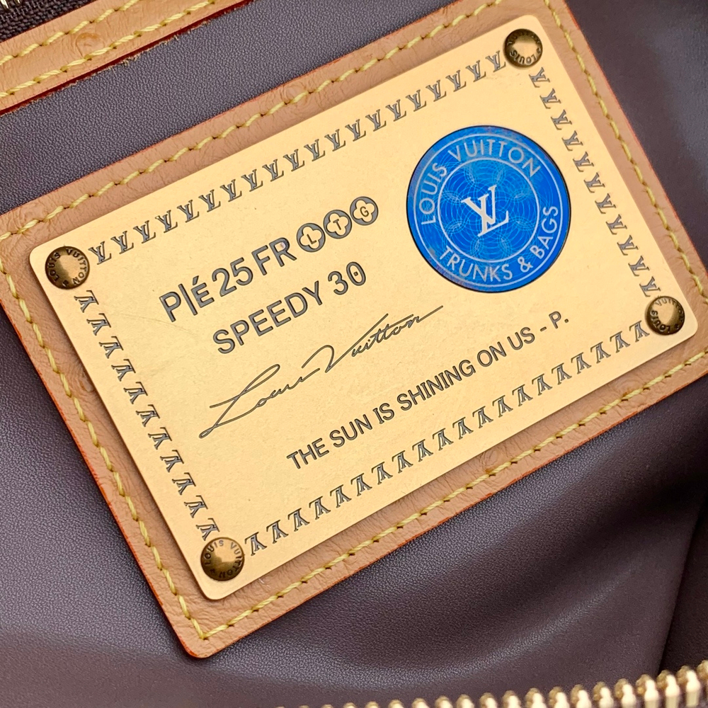 Louis Vuitton Speedy P9 Bandouliere 30