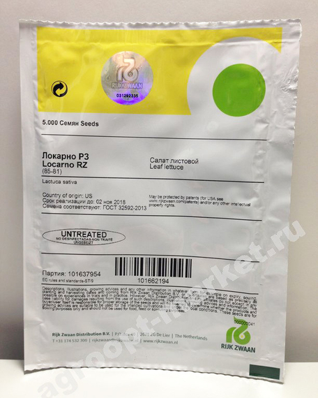 ЛОКАРНО РЗ семена салата (Rijk Zwaan | Alexagro) – фото 9