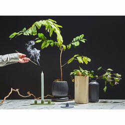 Подсвечник для 3 свечей из каменной керамики оливкового цвета из коллекции Essential