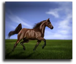 Постер "Коричневый скакун"