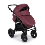 Коляска 2 в 1 Alis Berta