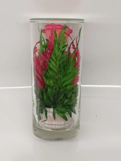 натуральные кустовые розы в стекле, вакуум*