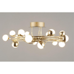 Потолочная светодиодная люстра Aployt Delfin APL.774.07.54