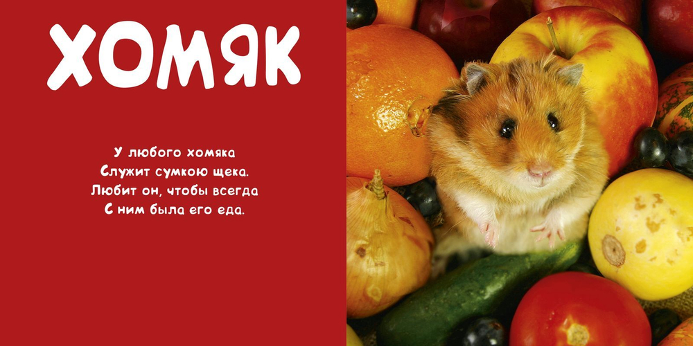Мои животные