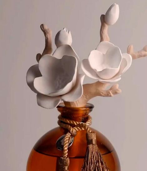 Magnolia, ароматический диффузор с необычными палочками, Chando