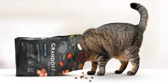 Fresh feline online