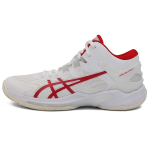 Кроссовки Asics Gel-Burst 25, 1063A055-100