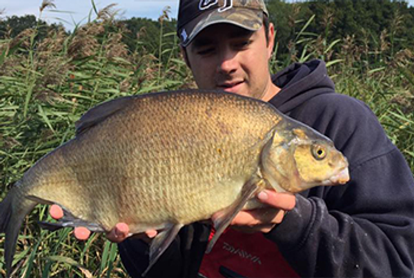 Ловля леща с использованием эхолота Ловля леща с использованием эхолота