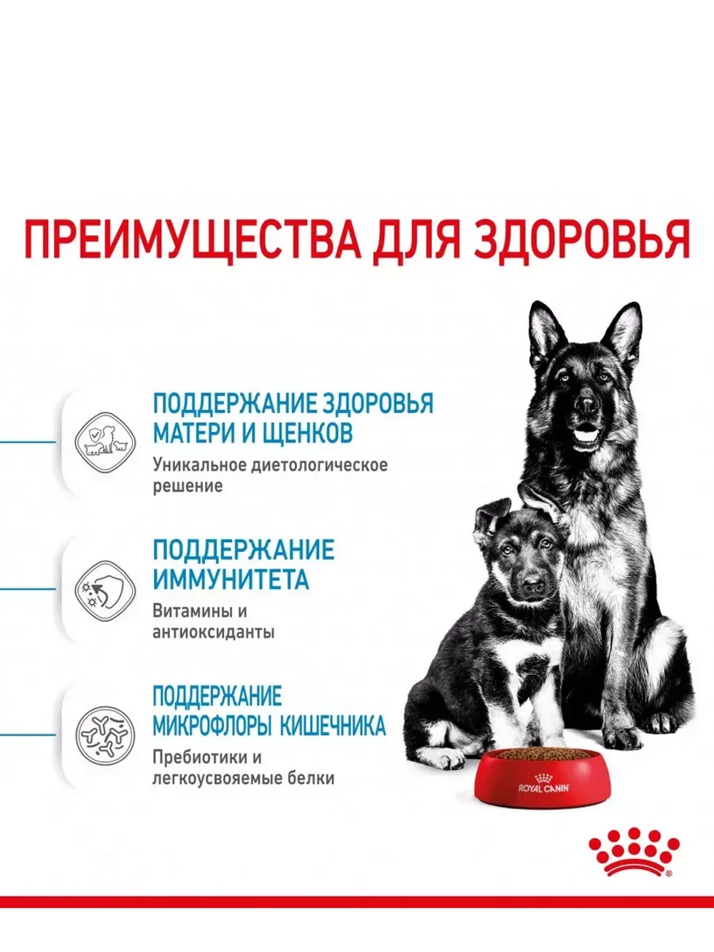 MAROYL CANIN XI STARTER MOTHER & BABYDOG 1-2months PRO (РОЯЛ КАНИН МАКСИ СТАРТЕР МАЗЕ ЭНД БЭБИДОГ 1-2 месяца корм сухой для собак Maxi Starter 18 кг.