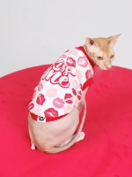 Одежда для кошек сфинкс