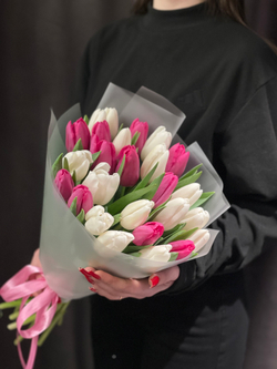 25 бело-розовых тюльпанов