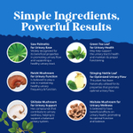 Nature's Craft, Поддержка простаты, 60 капсул