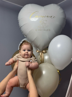 Воздушные шары на полгодика/ 6 месяцев №2708