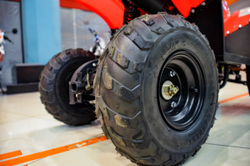 MOTAX ATV MIKRO 110 cc Красный
