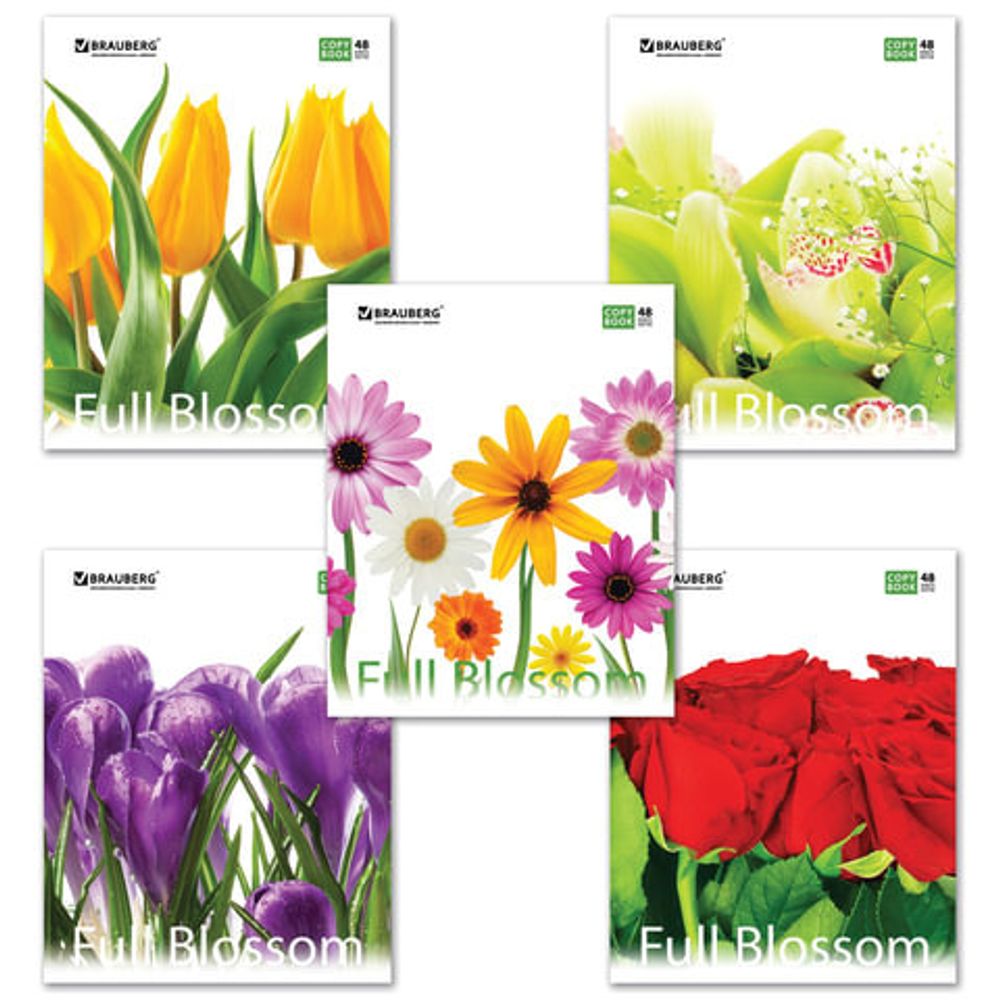 Тетрадь А5, 48 л., BRAUBERG ЭКО, клетка, обложка картон, ЦВЕТЫ 2, 401808