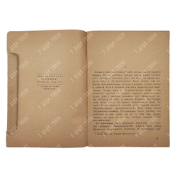 Брянские разбойники (завод имени Петровского). – М., 1929.