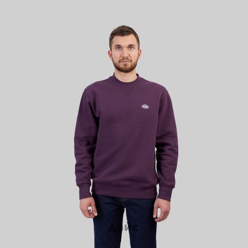 Толстовка мужская Dickies Summerdale Sweatshirt артикул:DK0A4Y6QJ561 - купить в магазине Дайс