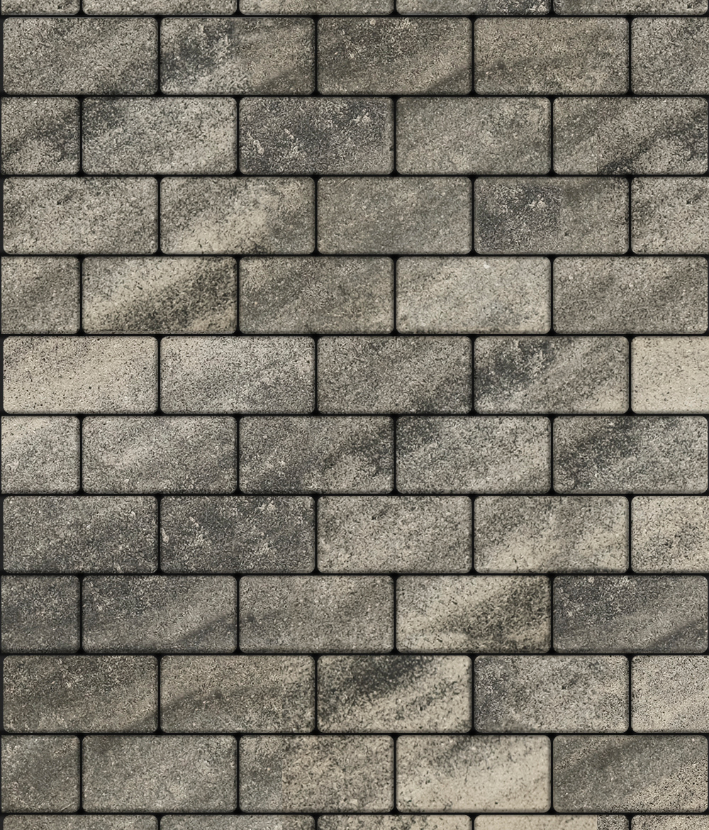 Тротуарная плитка ВЫБОР, форма Прямоугольник 100*200, h=80мм