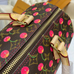 Louis Vuitton Speedy 25