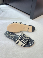 Christian Dior Dway Slide (11 colors)