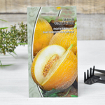 ДЫНЯ Фантазия (1г) среднеспелый Цв.пак. (10шт)