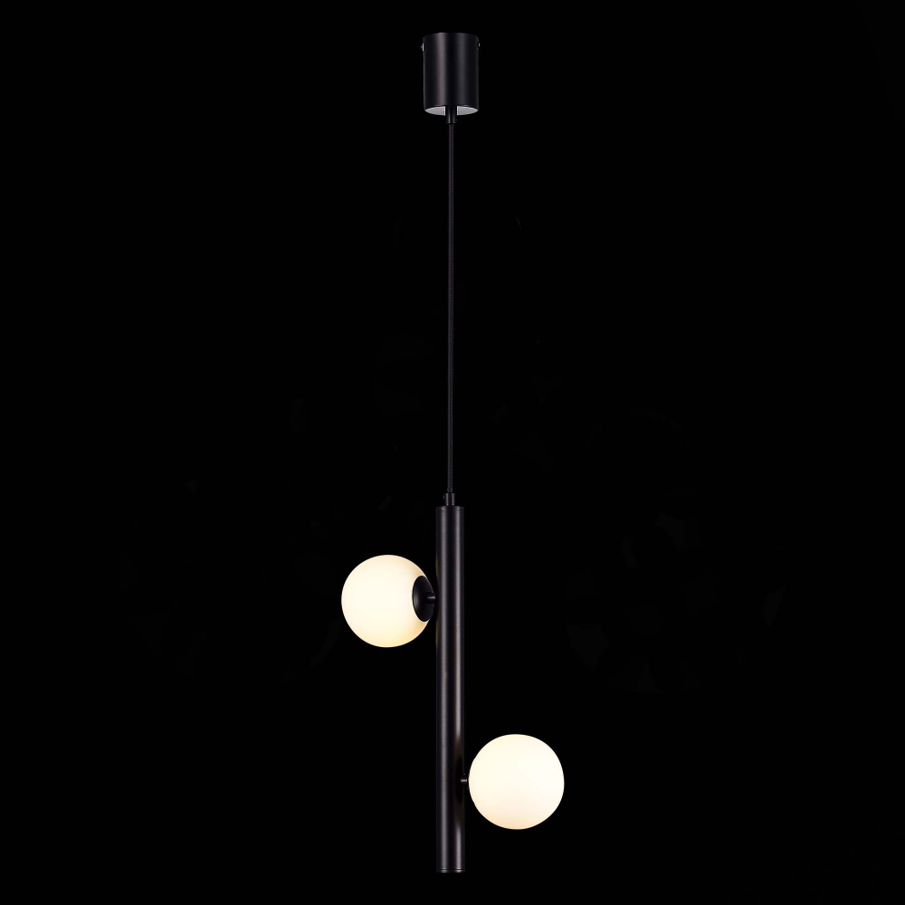 SL1185.403.02 Подвес ST-Luce Черный/Белый G9 2*5W