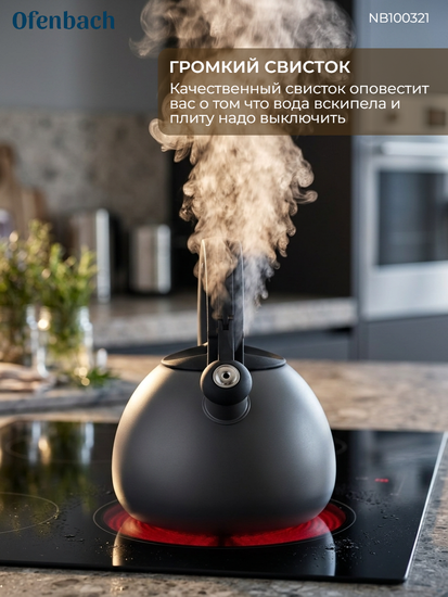 Чайник 2,7 л. из нержавеющей стали со свистком Ofenbach NB100321