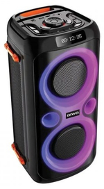 Акустическая система AIWA CAS-620