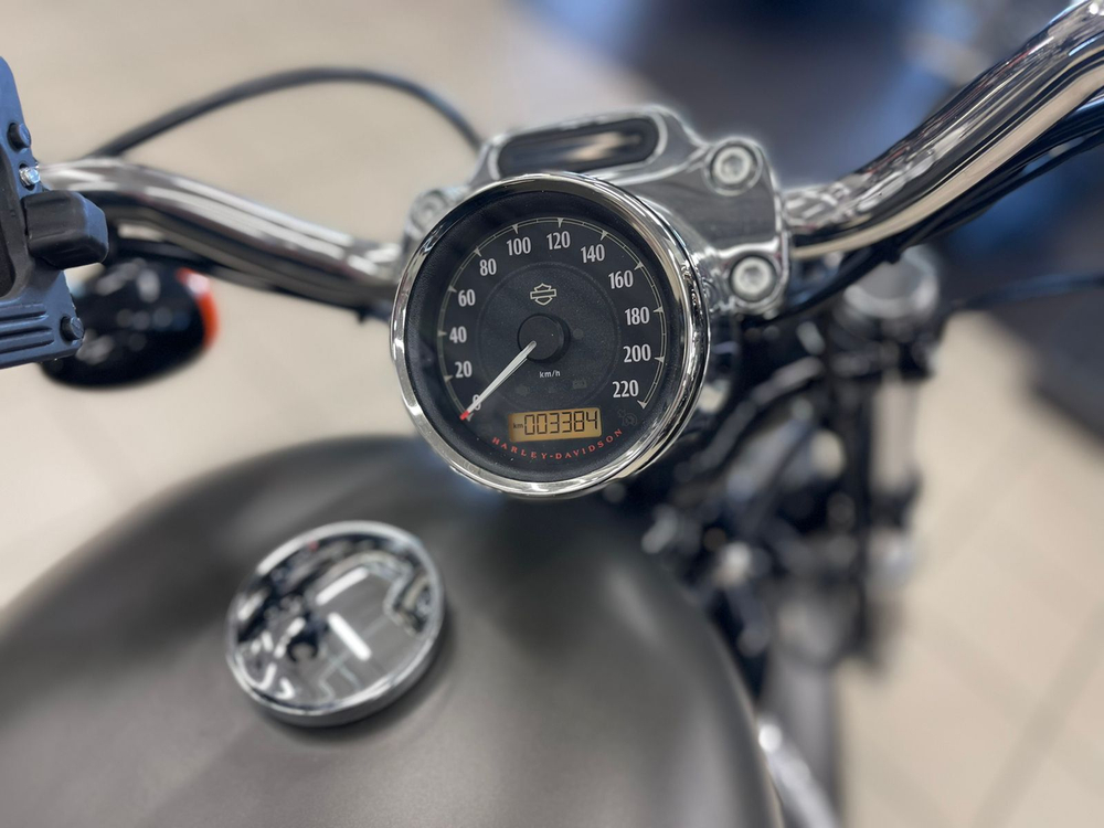 Sportster 1200 Custom 2018 Harley-Davidson