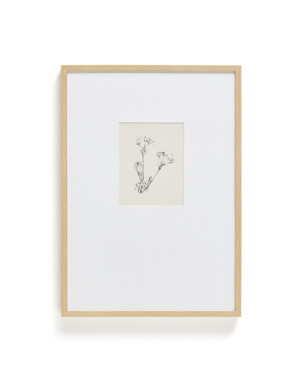 Картина Lirena с ботанической иллюстрацией 70 x 50 см