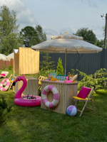 Flamingo Summer Party