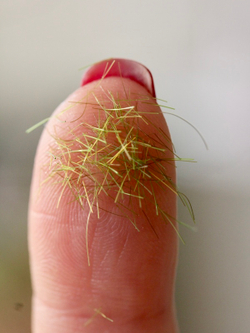 Флок зеленый ворсистый для имитации травы