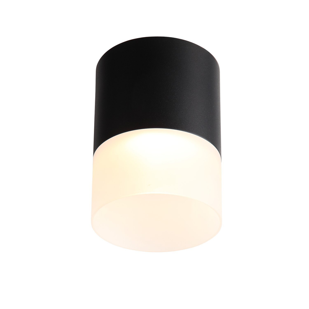 ST100.402.15 Светильник потолочный Черный LED 1*15W 3000K 1 170Lm Ra&gt;80 120° D118xH150 170-240VV Накладные светильники