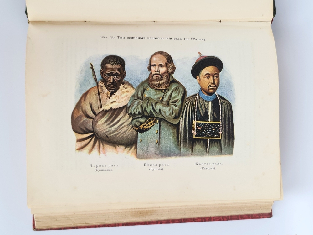 "Всеобщая психология с физиогномикой в иллюстрированном изложении". И.А.Сикорский. 1912 г.