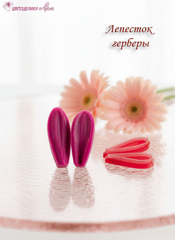 Лепесток герберы