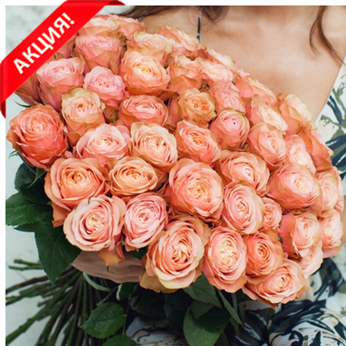 Купить Букет 15 пионовидных роз Kahala
