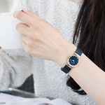 Наручные часы Bering 10126-367