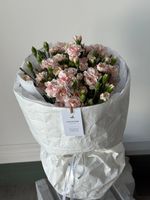 Моно букет из кустовых диантусов в нежно розовом оттенке 25 шт