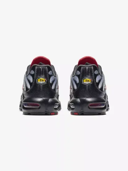 Кроссовки Nike Air Max Plus Black/Grey/Gradient Red